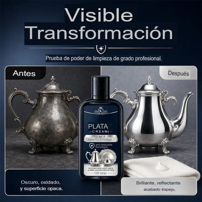 PULIDOR DE ACCESORIOS DE PLATA 💍