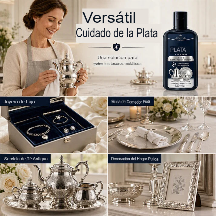 PULIDOR DE ACCESORIOS DE PLATA 💍