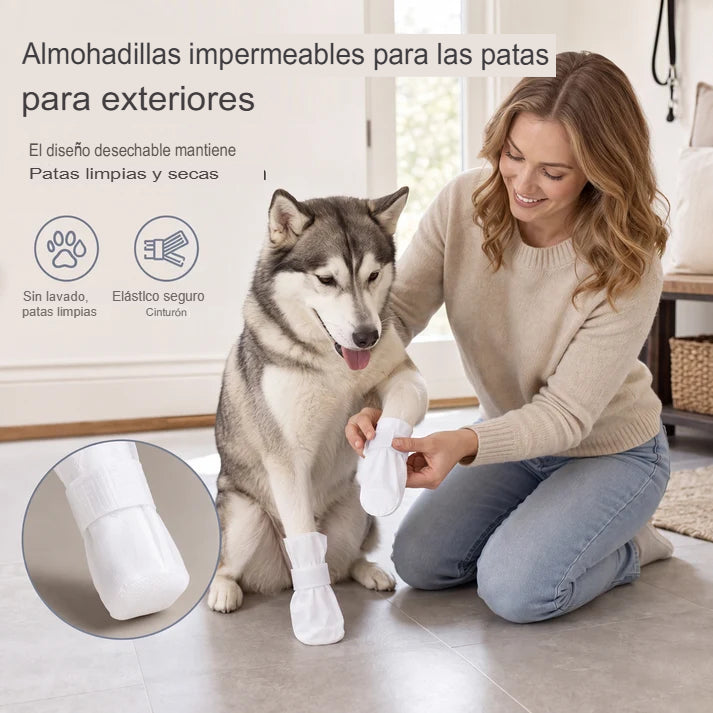 PACK X16 CUBRE PATAS DESECHABLES 🐾✨
