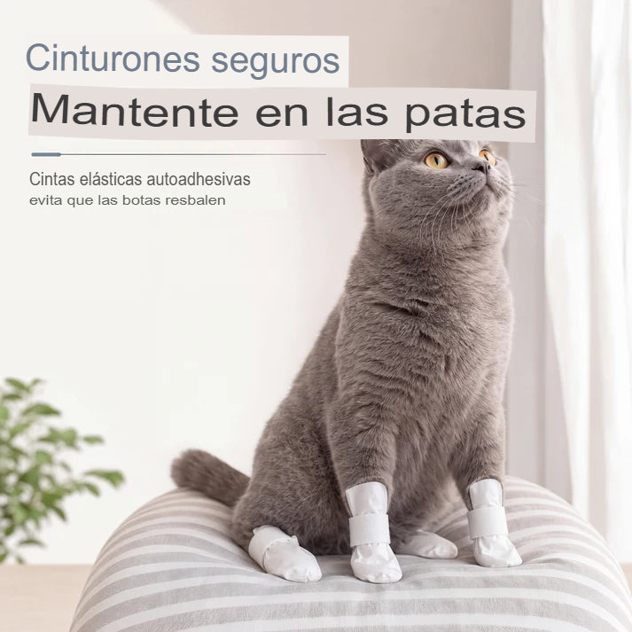 PACK X16 CUBRE PATAS DESECHABLES 🐾✨