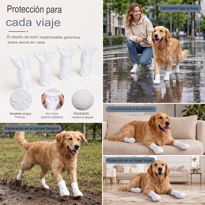 PACK X16 CUBRE PATAS DESECHABLES 🐾✨